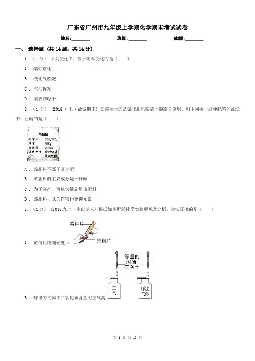 广东省广州市九年级上学期化学期末考试试卷