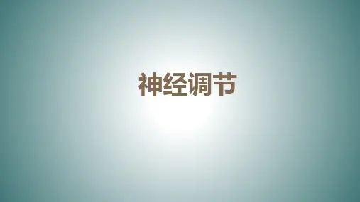 浙教版科学八年级上册3.3神经调节(课件 16张PPT).ppt
