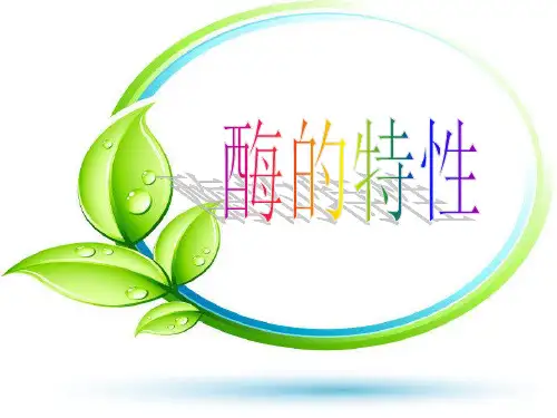 (使用)(2)酶的特性PPT课件