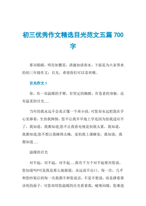 初三优秀作文精选目光范文五篇700字
