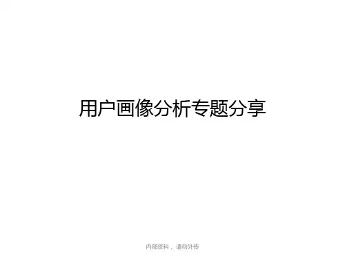 互联网大数据分析之《用户画像分析》