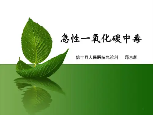 急性一氧化碳中毒PPT课件