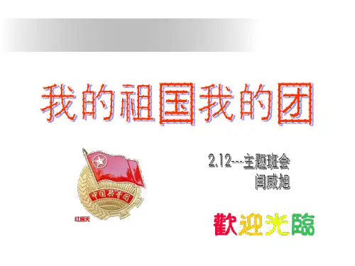 共青团_主题班会课件