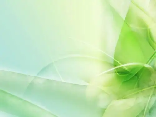 新语文S版语文四年级下册《端午节的由来》ppt公开课课件2