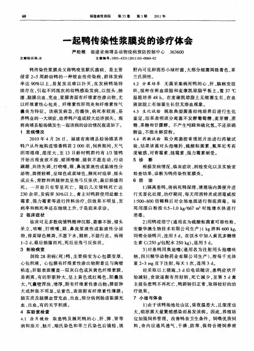 一起鸭传染性浆膜炎的诊疗体会