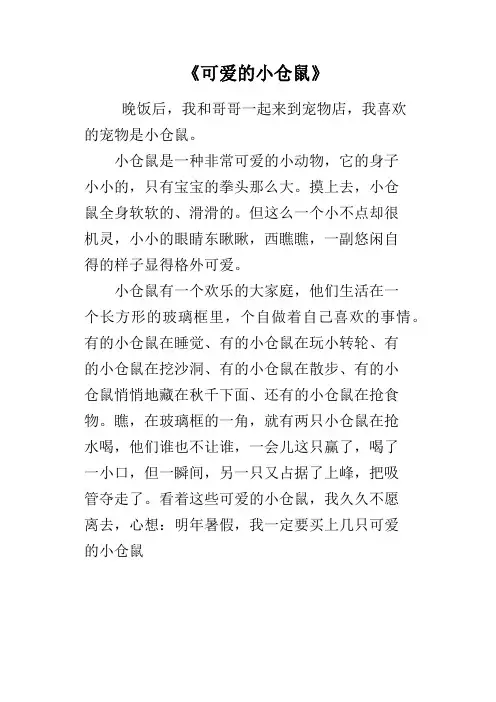 《可爱的小仓鼠》