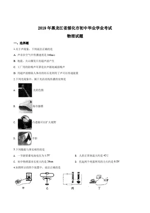 2019年黑龙江省绥化市中考物理试题(原卷)