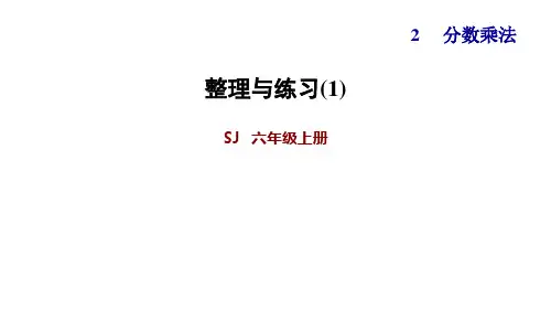 六年级上册数学课件-第2单元 整理与练习(1) 苏教版(2014秋) (共13张PPT)