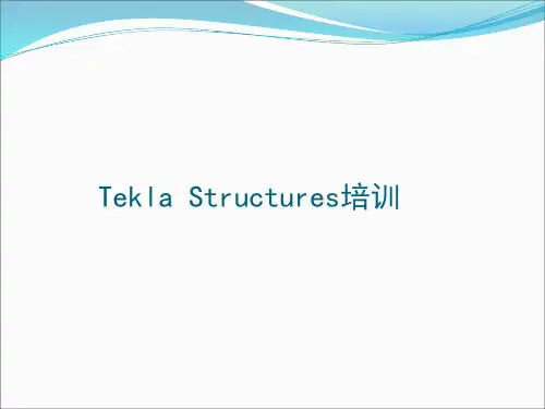 TeklaStructures培训教材PPT课件
