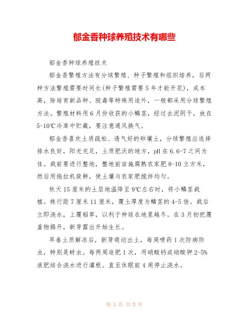 郁金香种球养殖技术有哪些