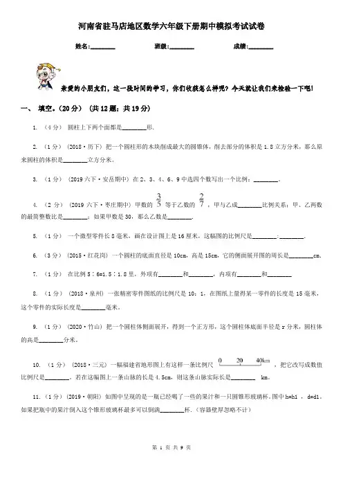 河南省驻马店地区数学六年级下册期中模拟考试试卷