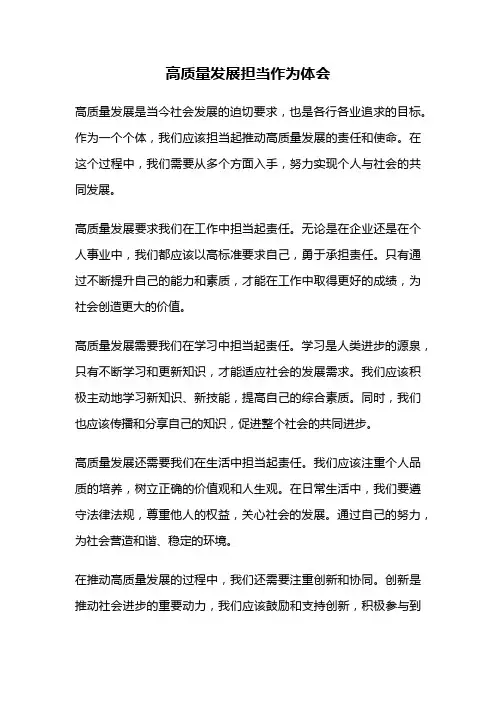 高质量发展担当作为体会