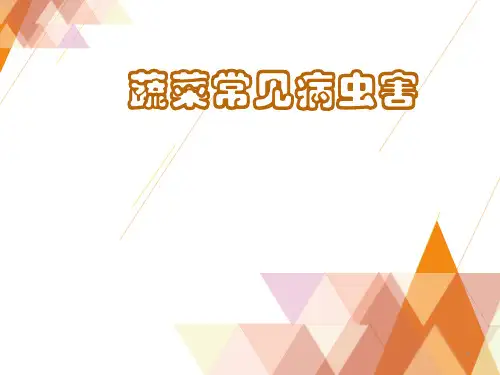 常见蔬菜病虫害介绍PPT课件