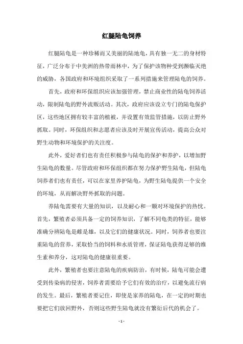 红腿陆龟饲养