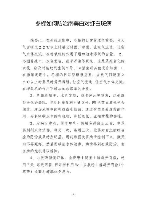 冬棚如何防治南美白对虾白斑病