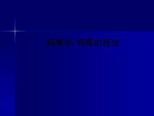 病毒学- 病毒的检验PPT课件