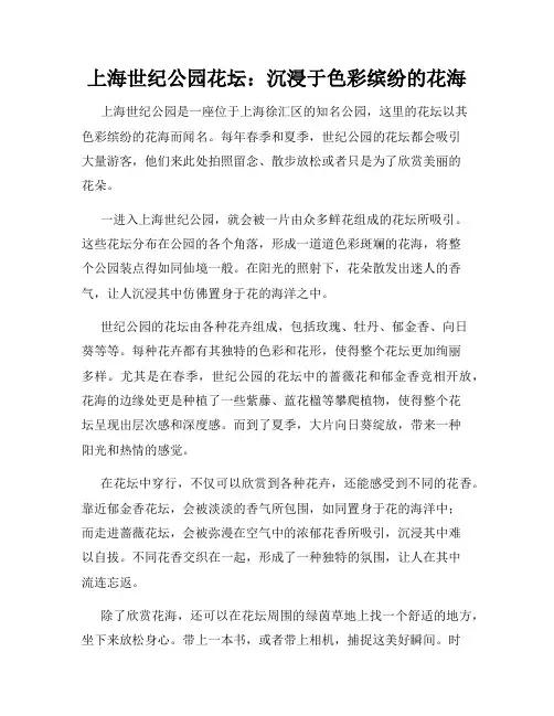 上海世纪公园花坛：沉浸于色彩缤纷的花海