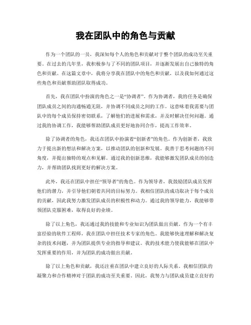 我在团队中的角色与贡献