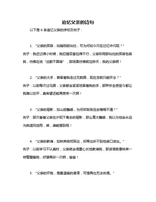 追忆父亲的诗句