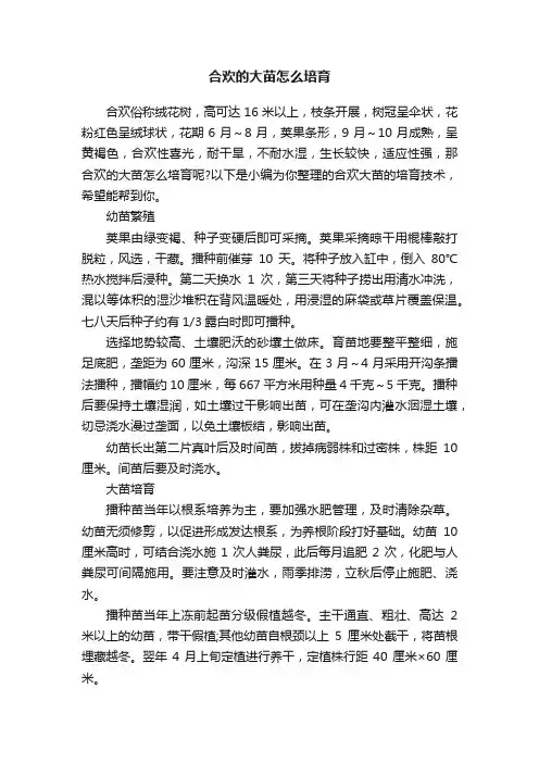 合欢的大苗怎么培育