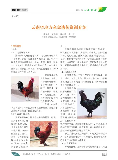 云南省地方家禽遗传资源介绍