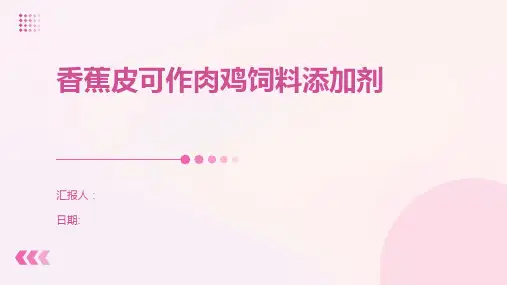 香蕉皮可作肉鸡饲料添加剂