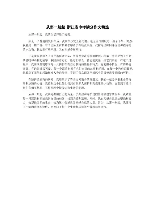从那一刻起_浙江省中考满分作文精选