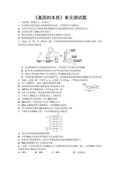 基因的本质单元测试题