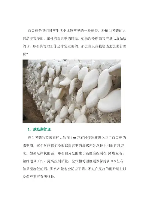 白灵菇栽培管理技术