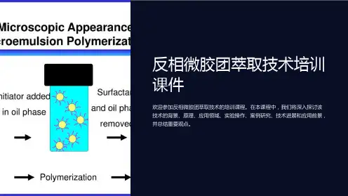 反相微胶团萃取技术培训课件