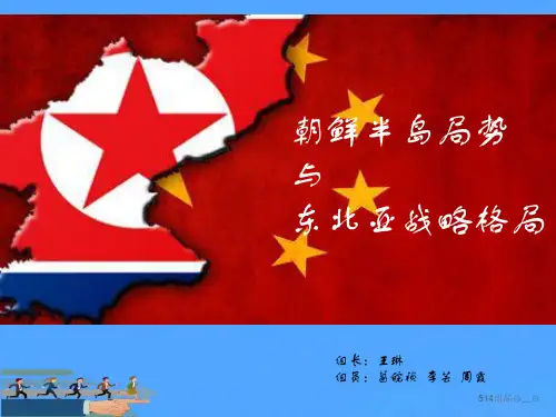 朝鲜半岛局势与东北亚格局现状分析by王琳优选PPT