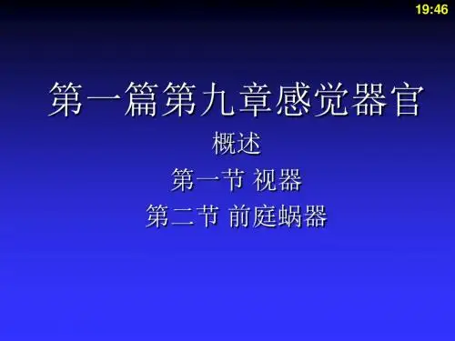 人体解剖学与组织胚胎学-感觉器