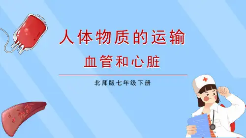 《血管和心脏》PPT课件 北师版生物