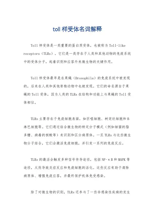 toll样受体名词解释