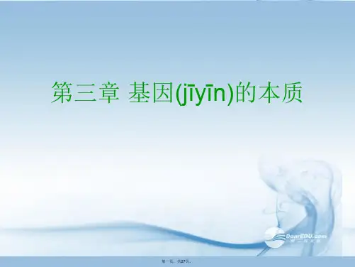高中生物《 3.1 DNA是主要的遗传物质》课件 新人教版必修2