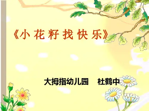 《小花籽找快乐》PPT课件
