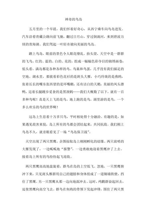 神奇的鸟岛课文