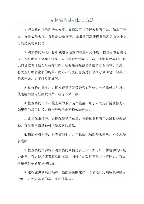 宠物猫的基础检查方法