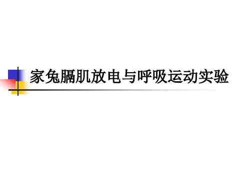 生理实验：家兔膈肌放电与呼吸运动实验