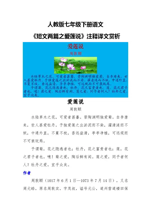 人教版七年级下册语文《短文两篇之爱莲说》注释译文赏析
