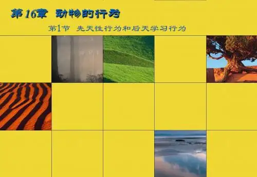 动物的行为