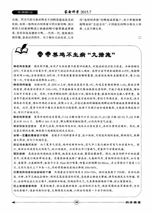 夏季养鸡不生病“九措施”