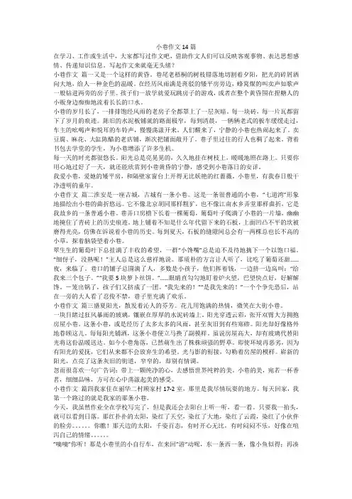 最新-小巷作文14篇