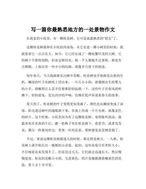 写一篇你最熟悉地方的一处景物作文