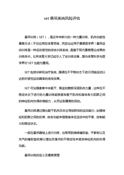set悬吊系统风险评估