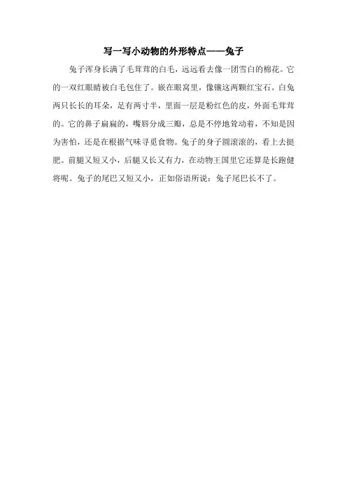 写一写小动物的外形特点——兔子