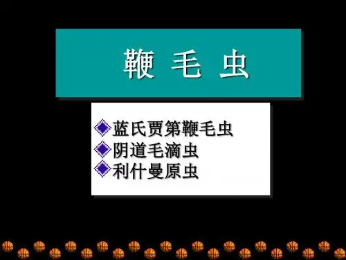 c寄生虫学第十一讲鞭毛虫资料