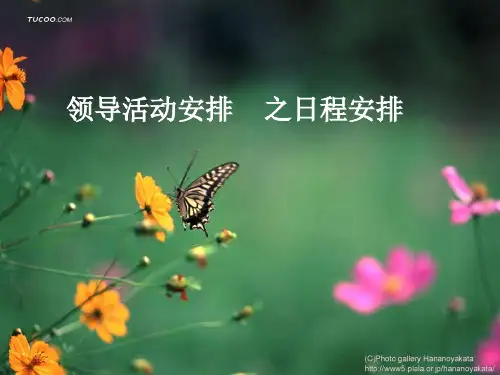 秘书领导活动安排方案