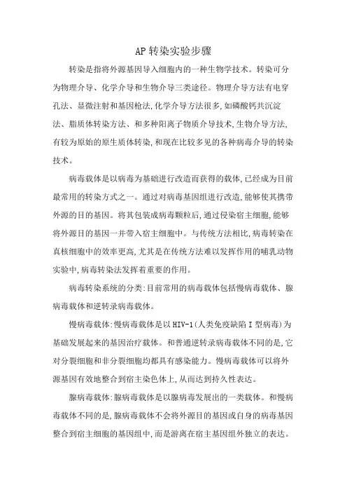 AP转染实验步骤