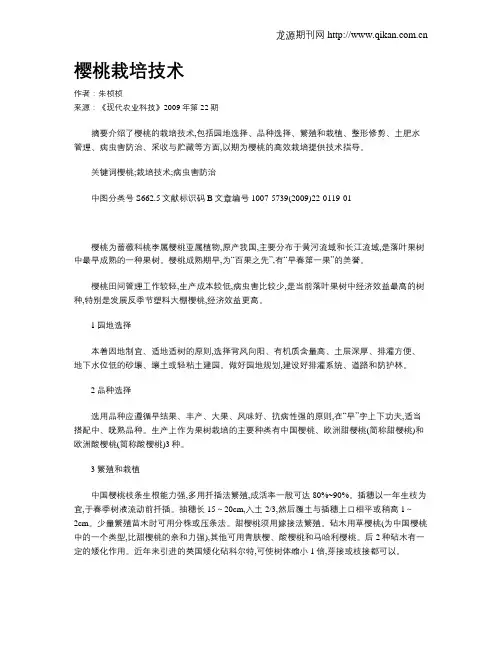 樱桃栽培技术